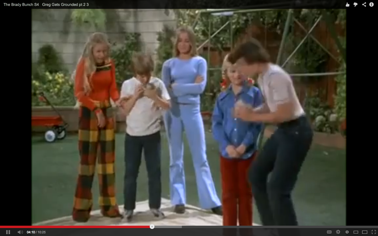 penis inside vagina diagram the sexy brady bunch
